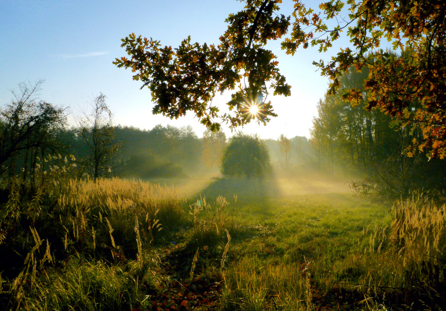 Herbstlicher Morgendunst