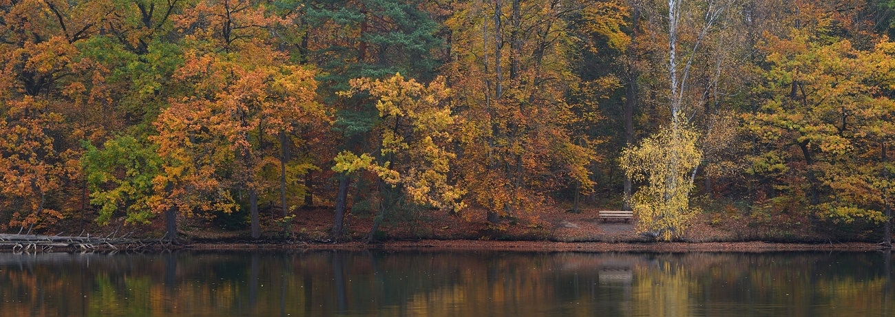 ein Platz am See