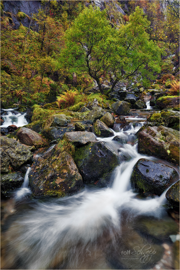 Autumn in Scotland