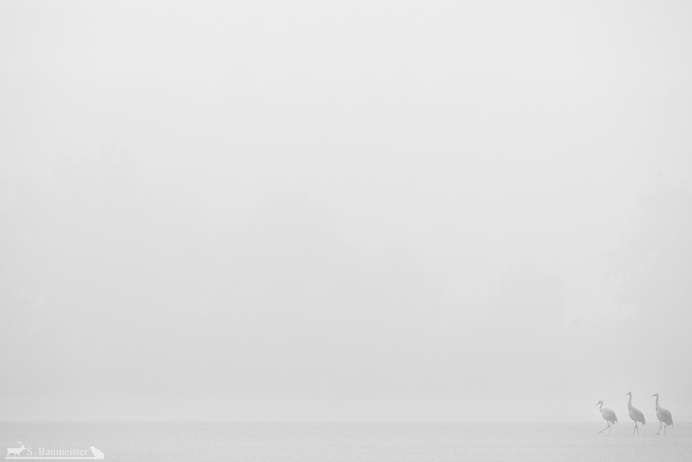 Unendlicher Nebel