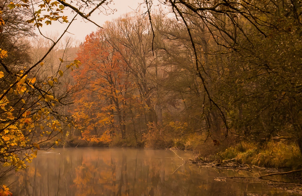 Herbst an der Amper