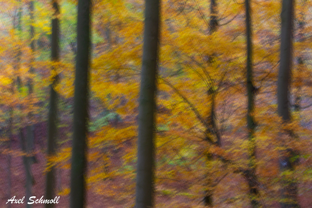 Herbst