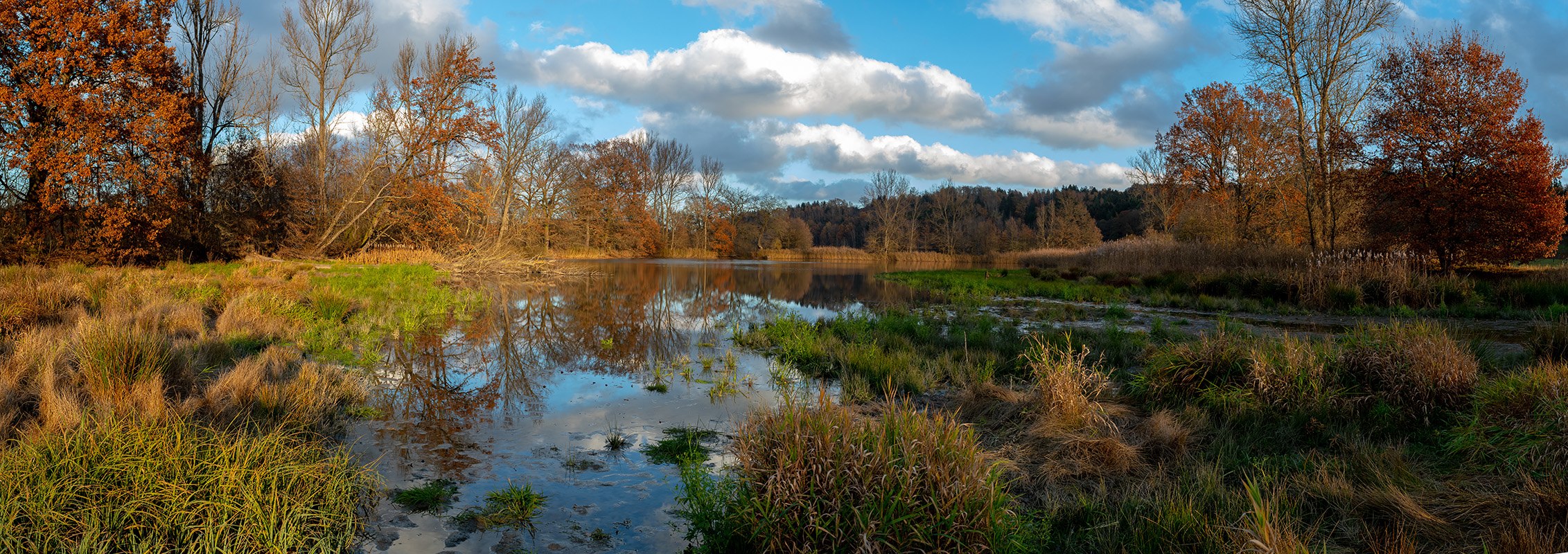 Abend an "meinem Teich"