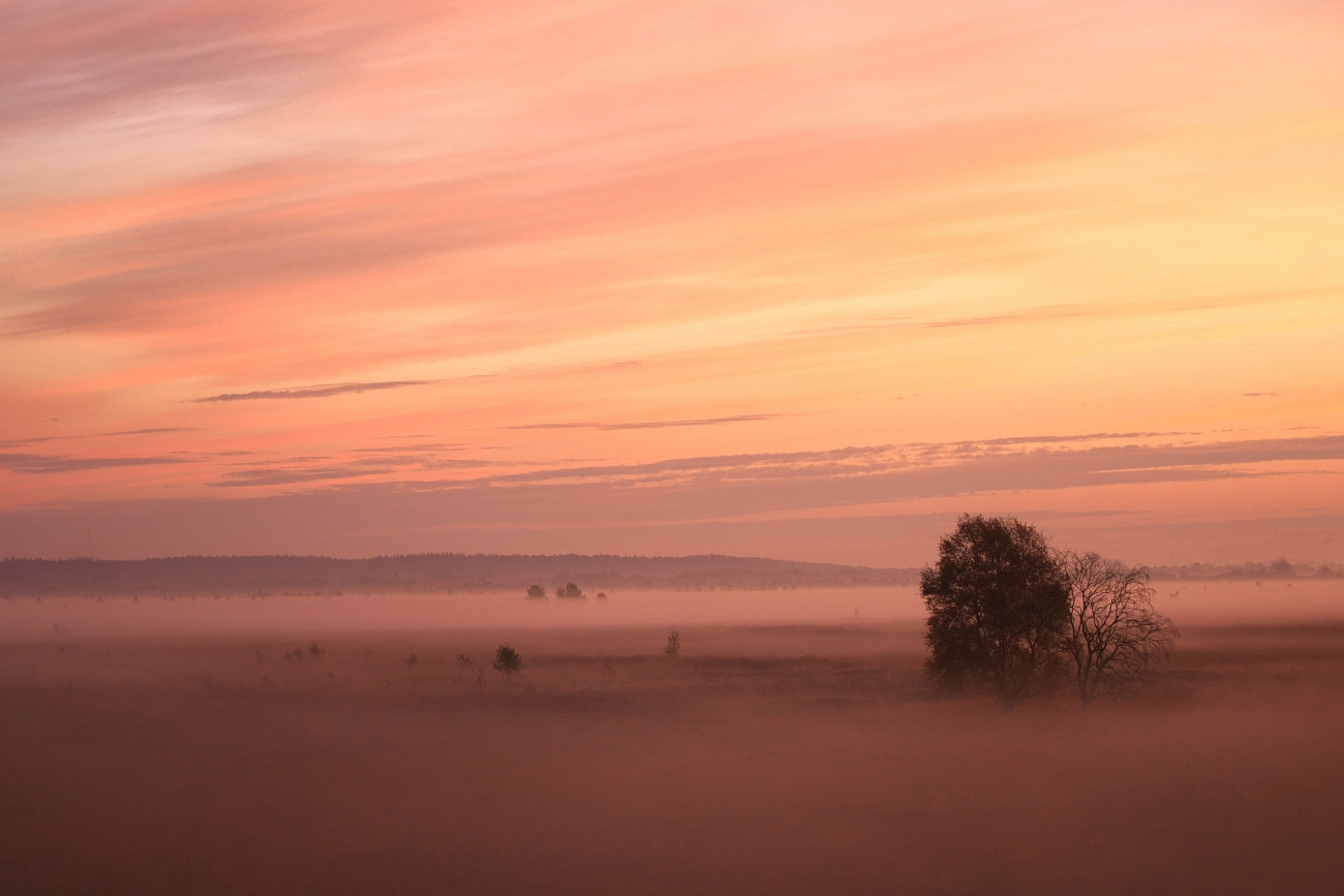 Morgenhimmel über dem Moor