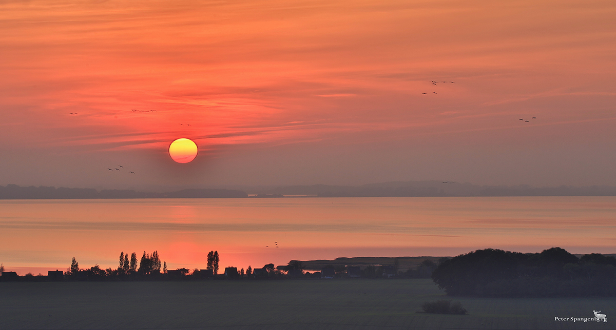 Abendstimmung