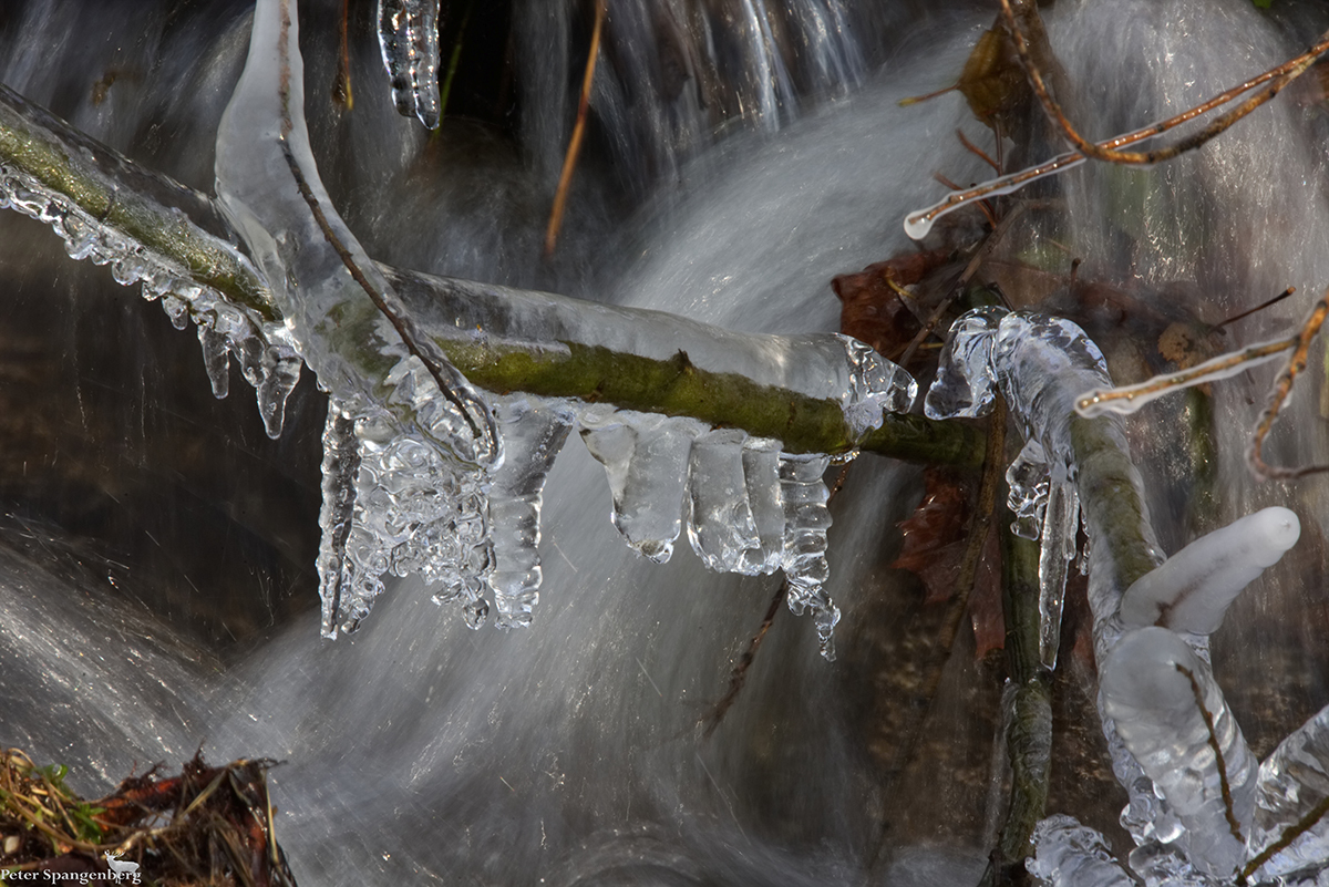 Erste Vorboten des nahenden Winters