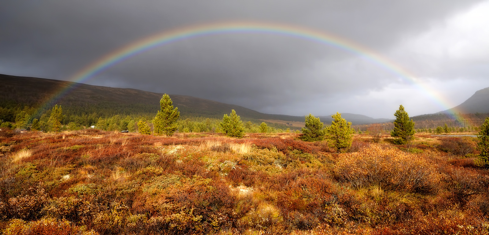 Regenbogen (norwegischer) (Forum für Naturfotografen)