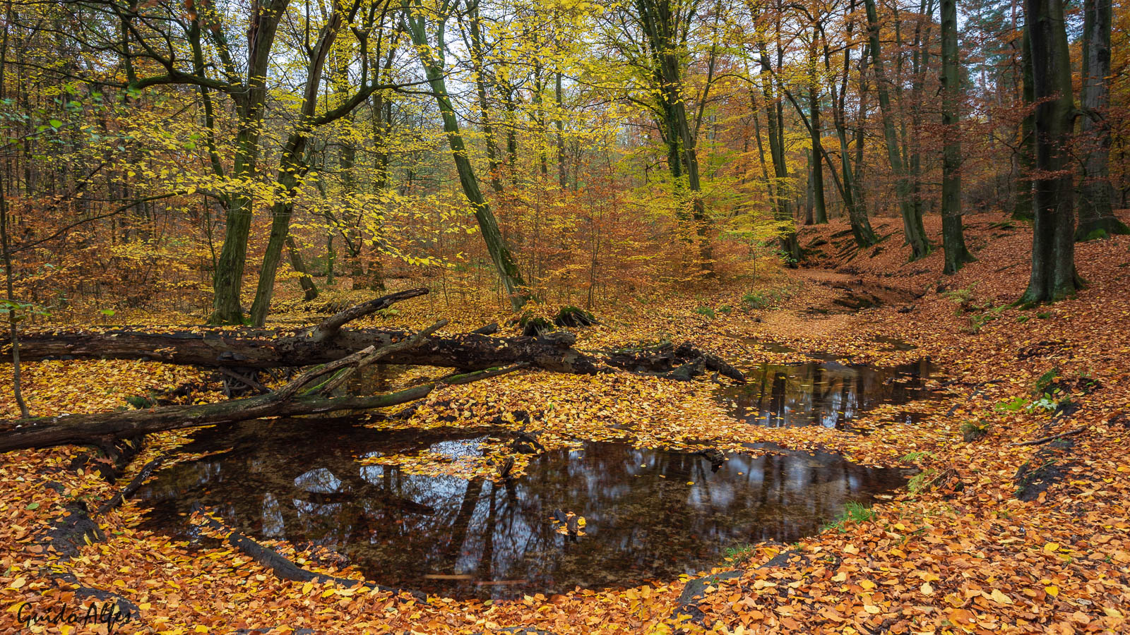 Rotbach Vollherbst