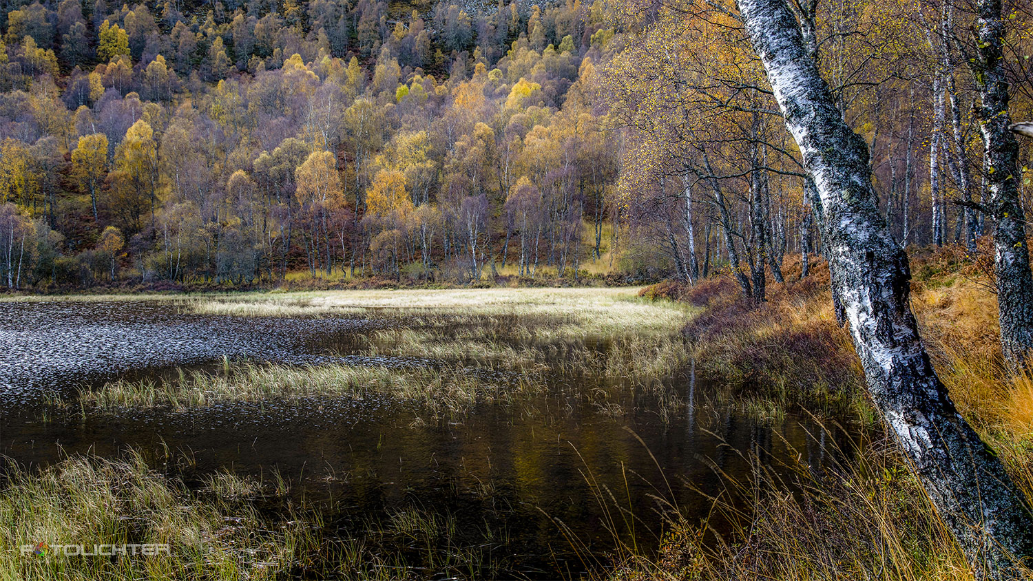 Herbst in den Highlands