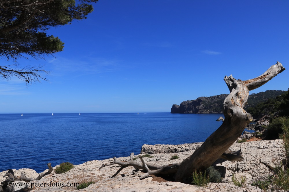 Mallorca Llucalcari