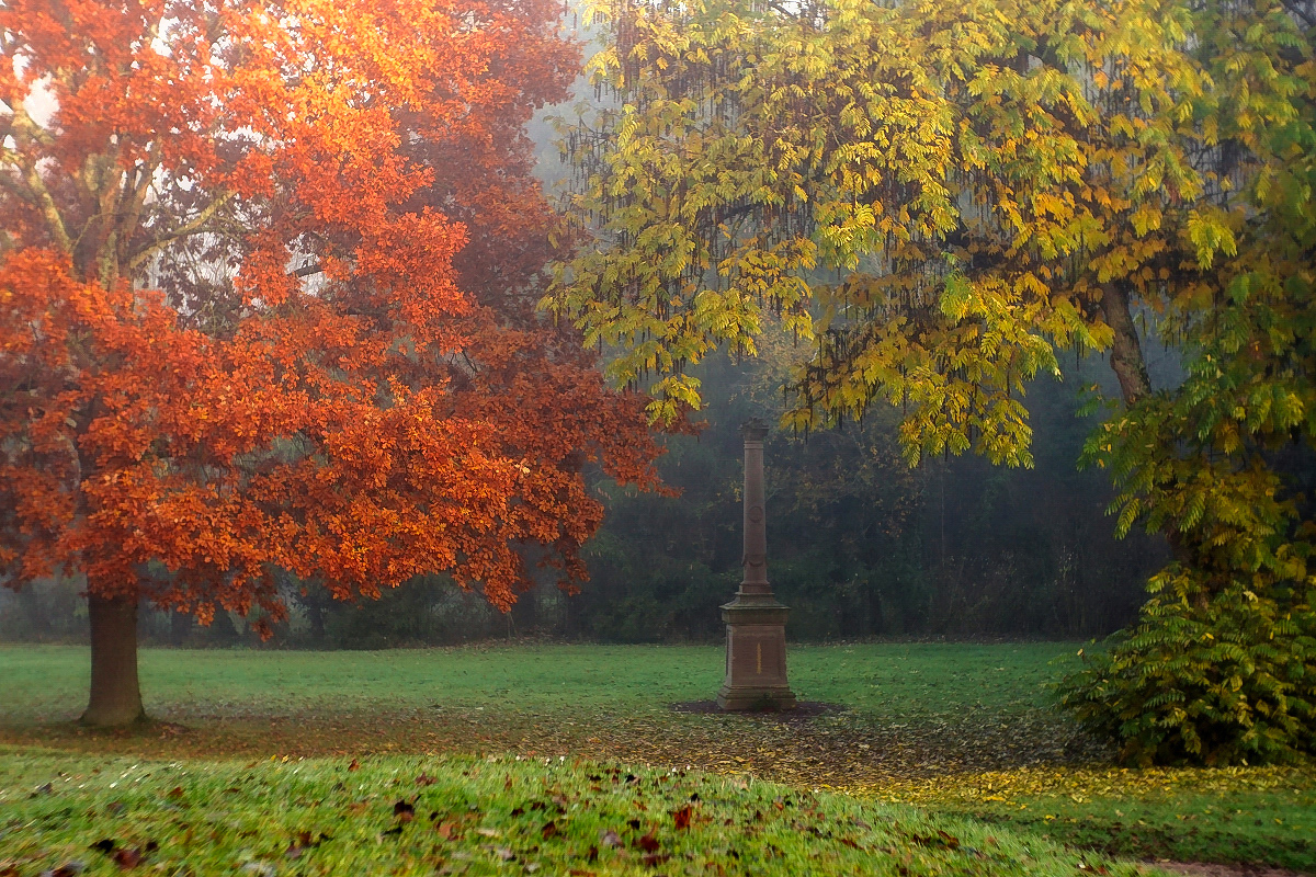 Rot - Grün
