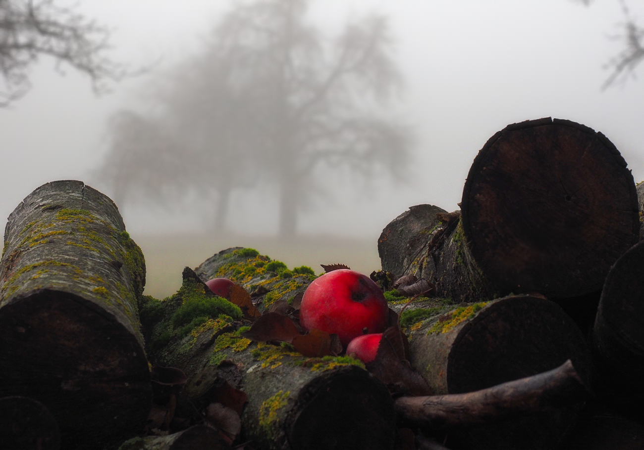 Ende des Herbstes