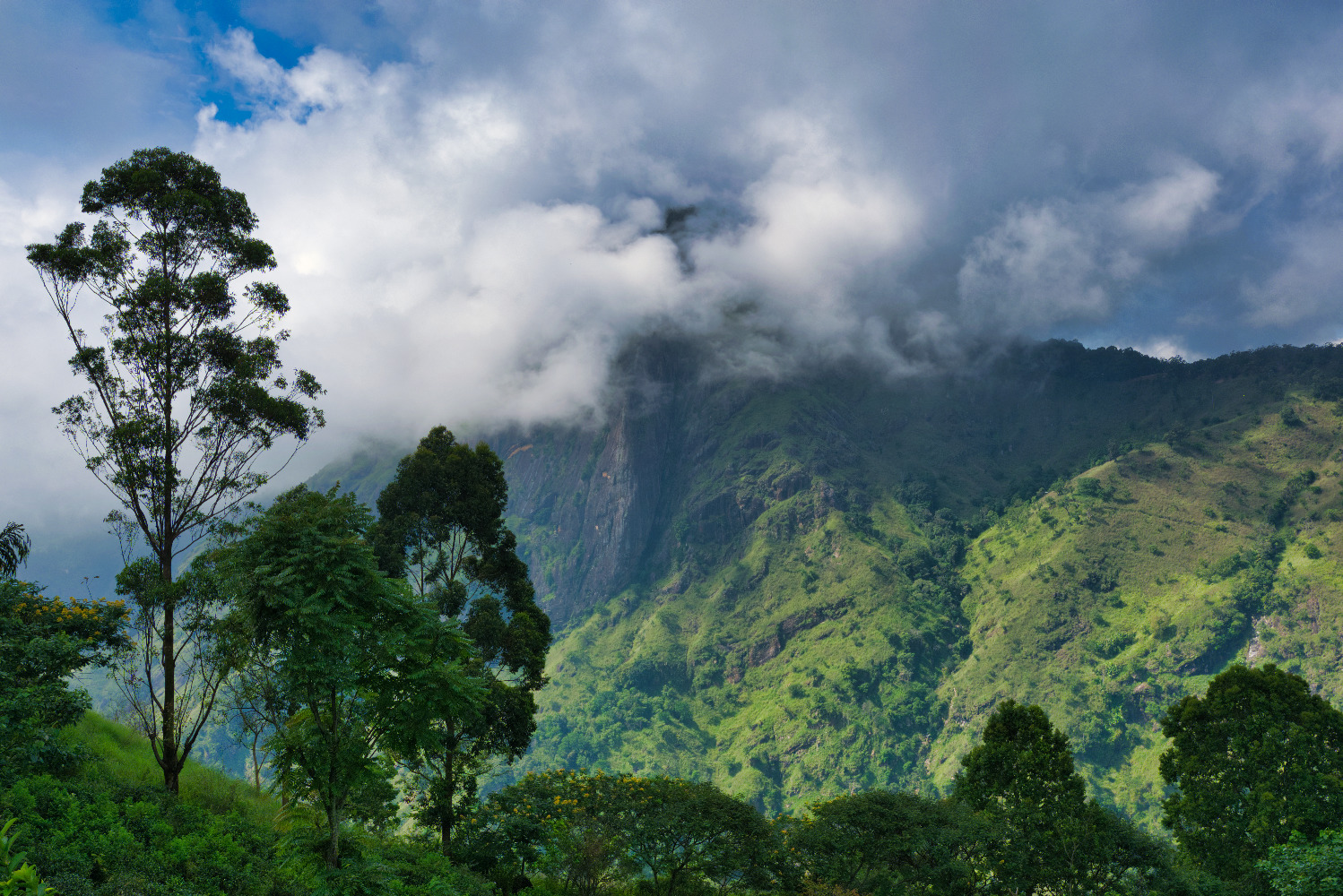 Little Adams Peak