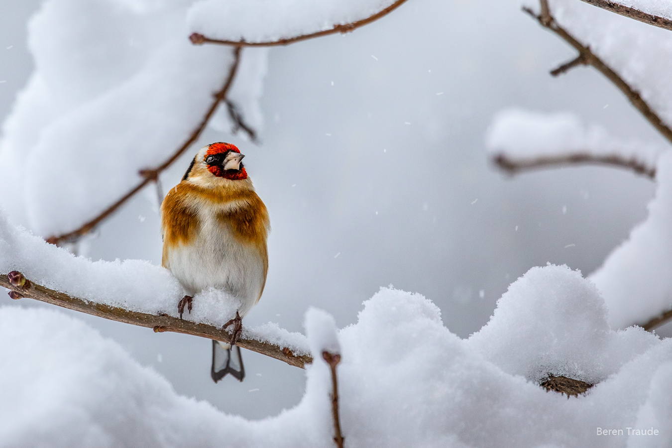 Leise rieselt der Schnee