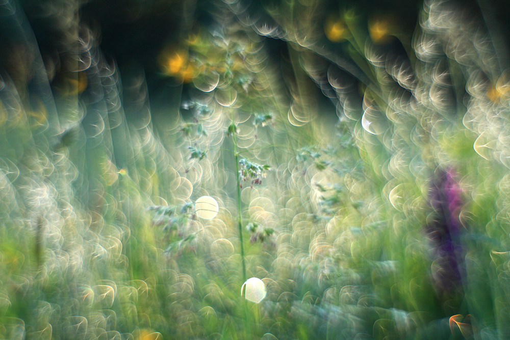 Natur-Lichterkette
