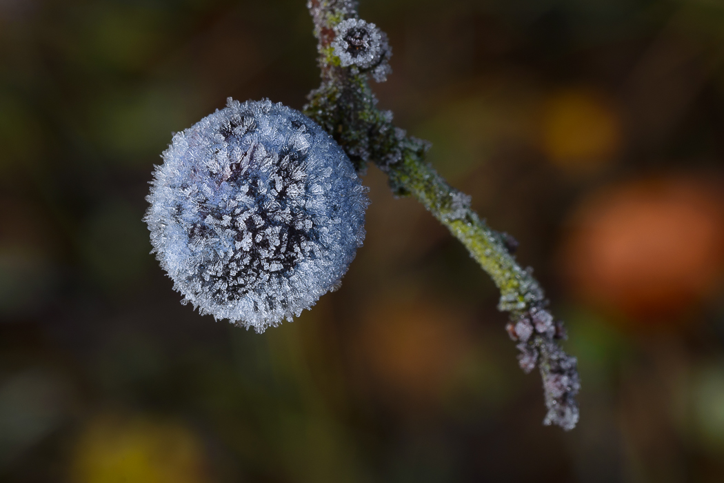 Ein Hauch von Winter ...