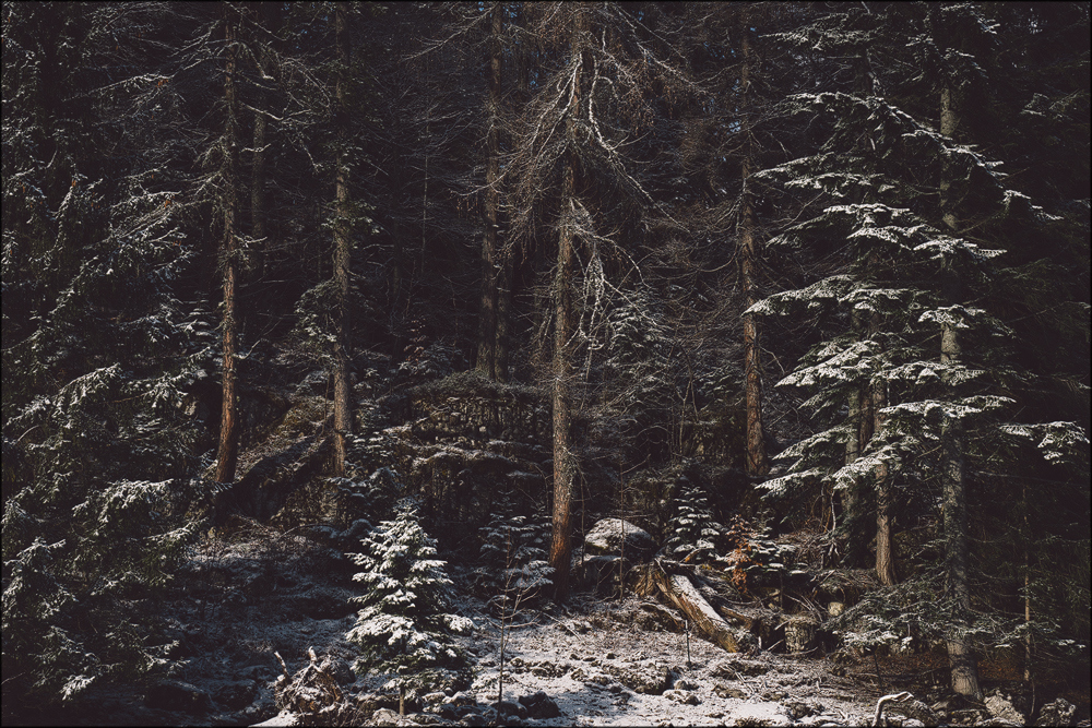 Erster Schnee