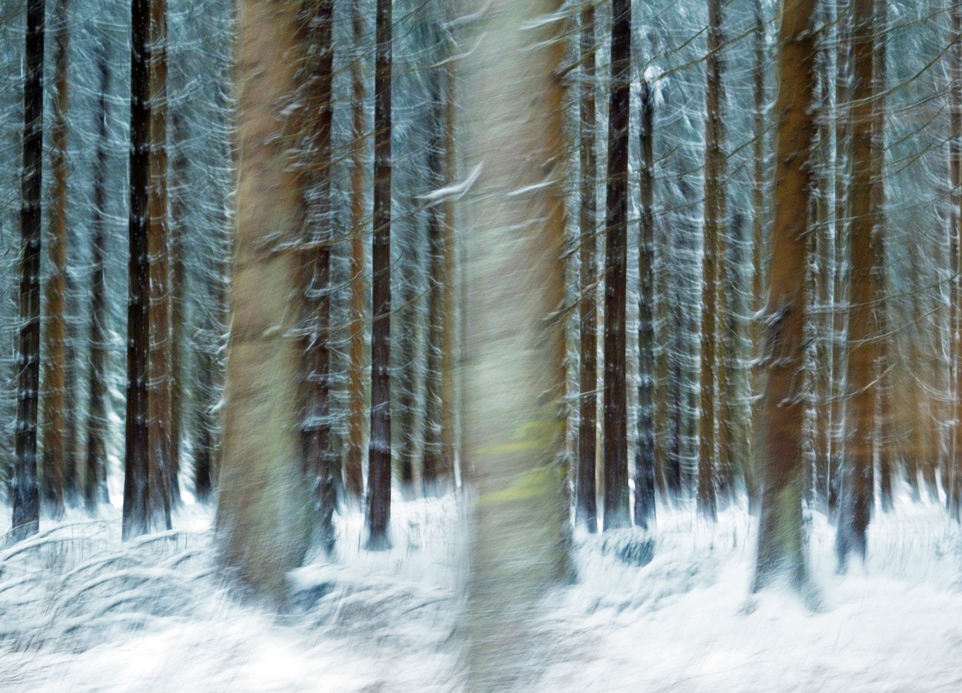 Schnee vom letzten Jahr