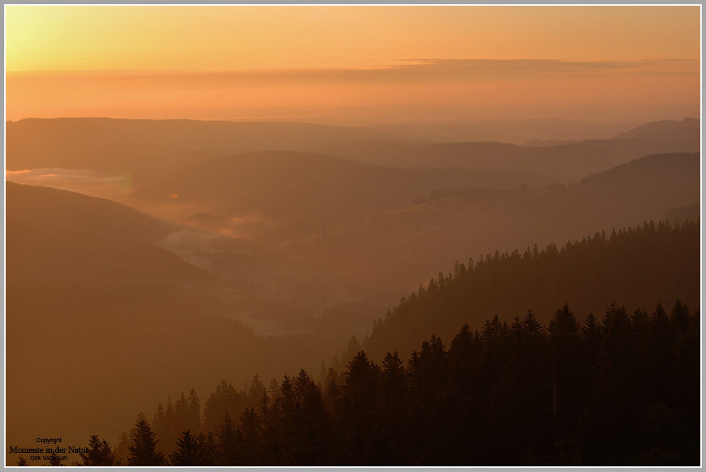 Morgenstimmung auf dem Seebuck/ Feldberg, Südschwarzwald