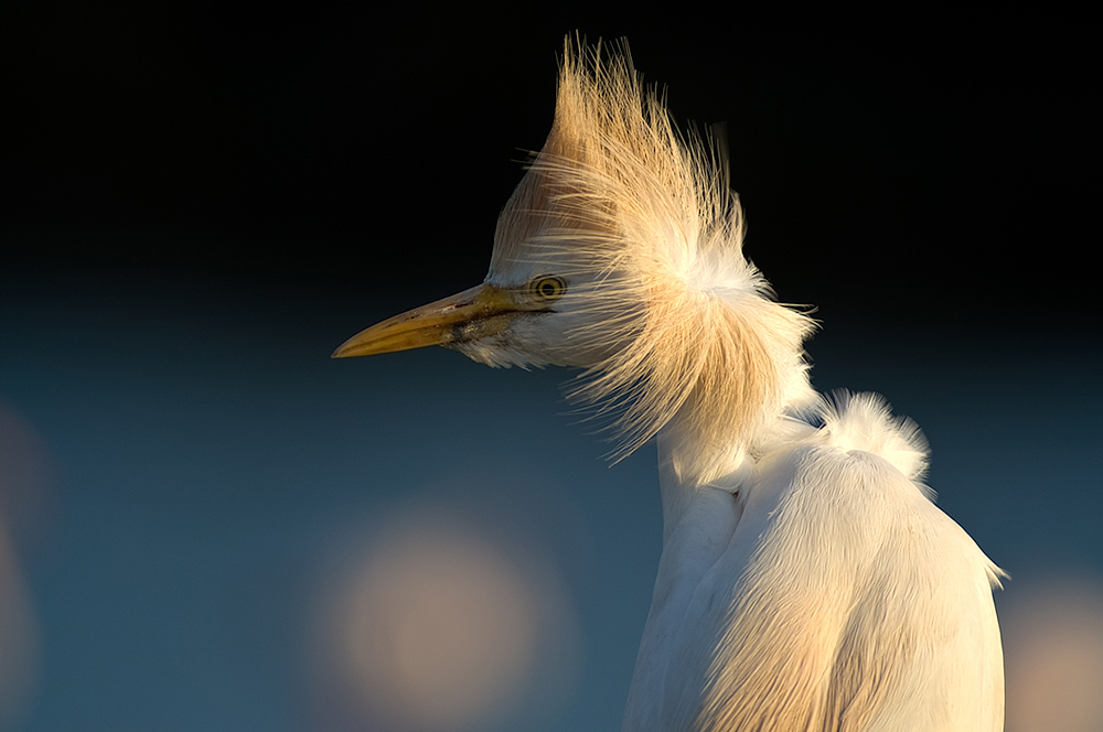 Wind von achtern