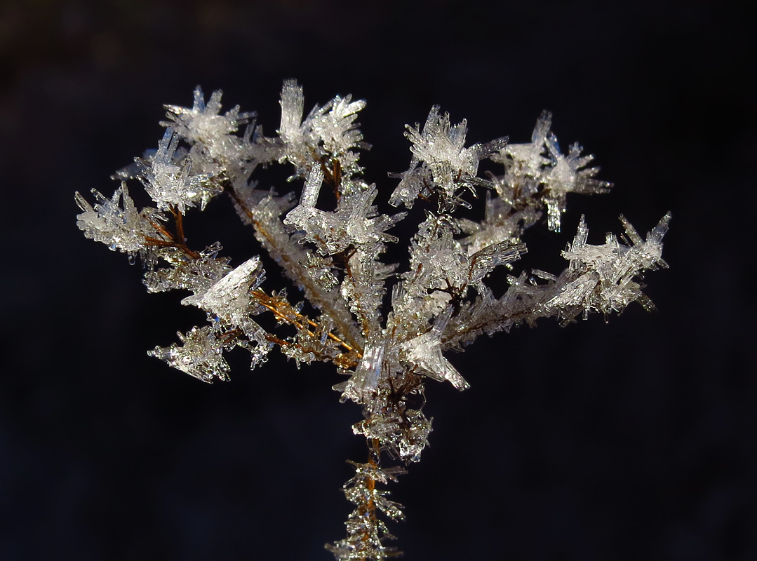 Glitzern
