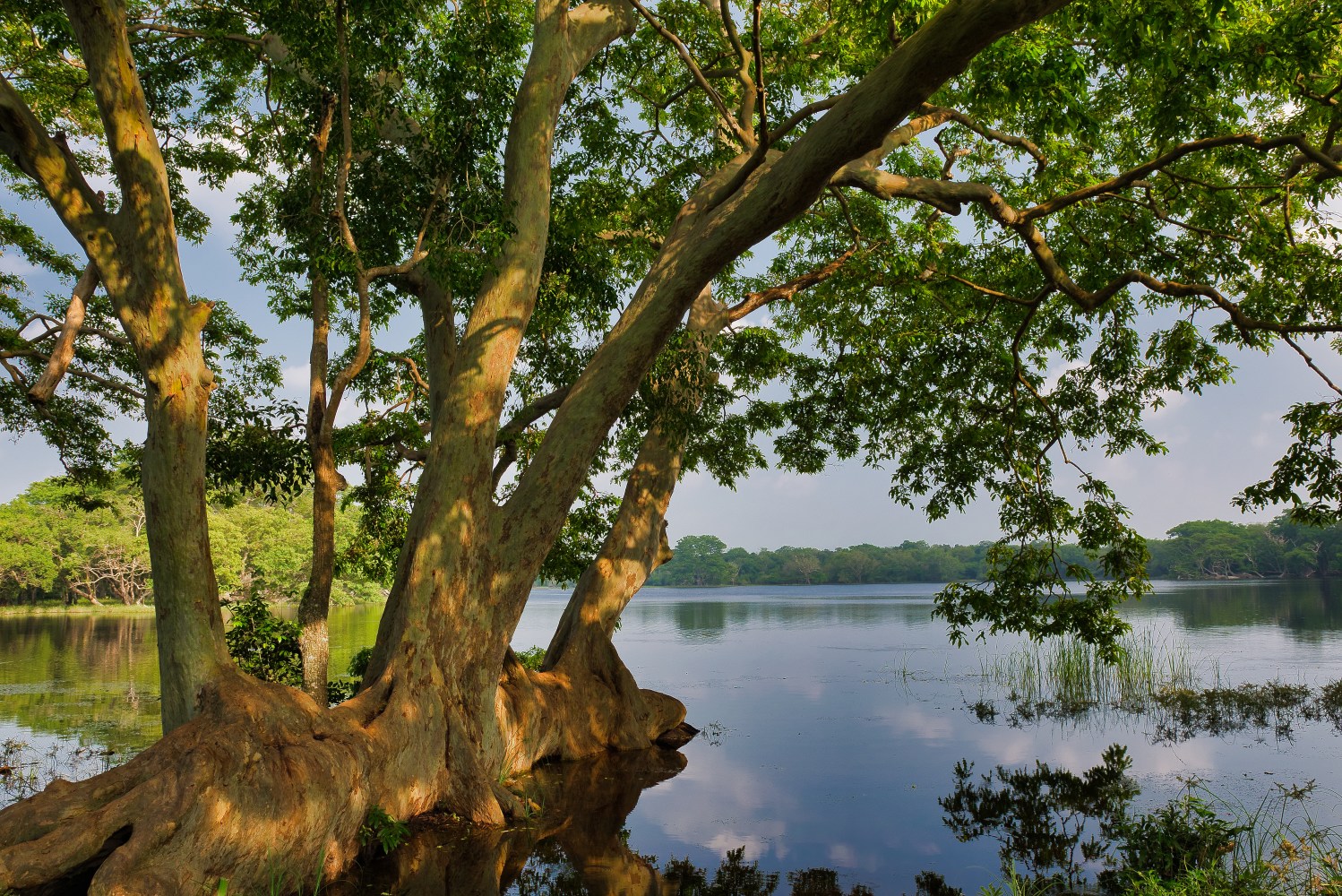 Wilpattu National Park