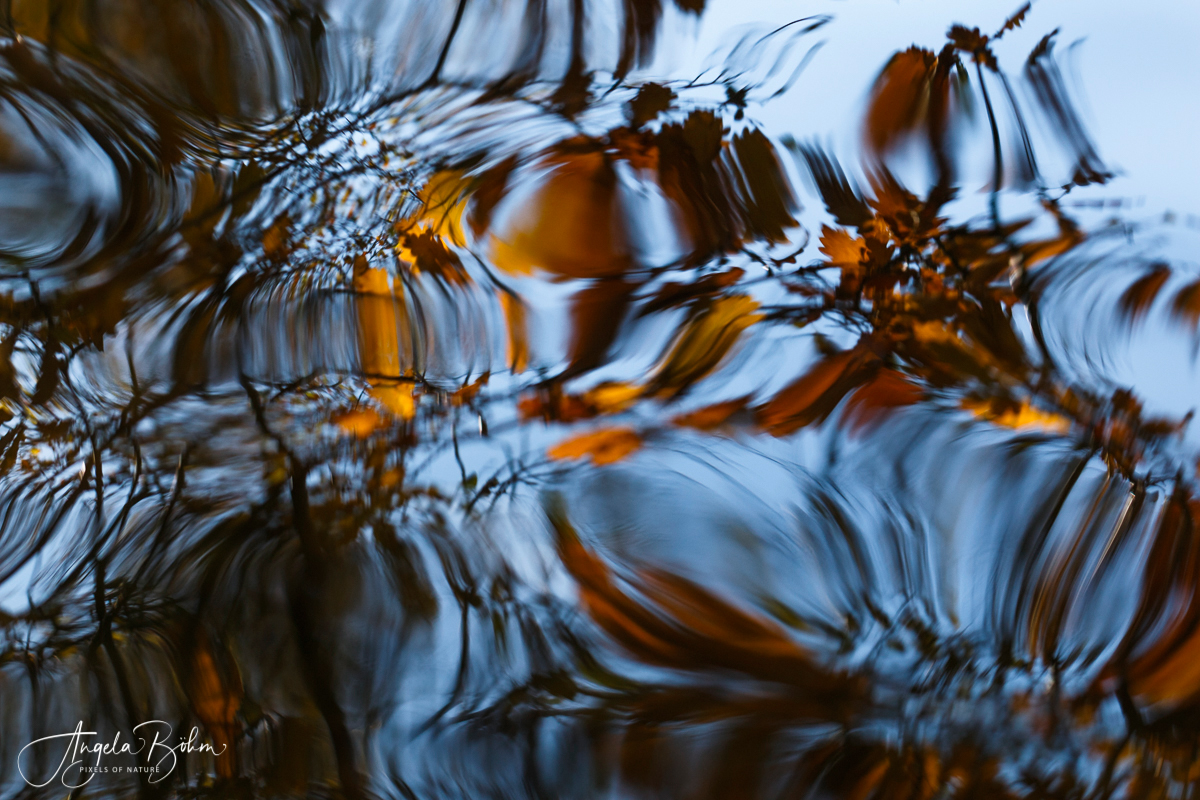 Reflexionen
