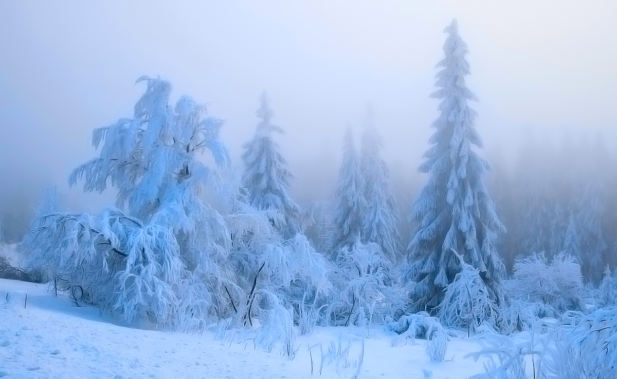 Märchenwinterwald