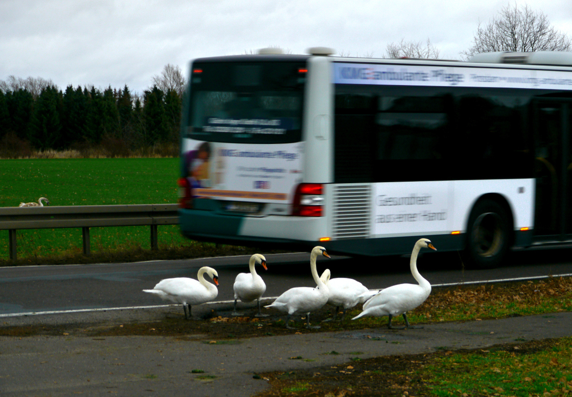 Gelassenheit