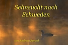 Sterntaucher