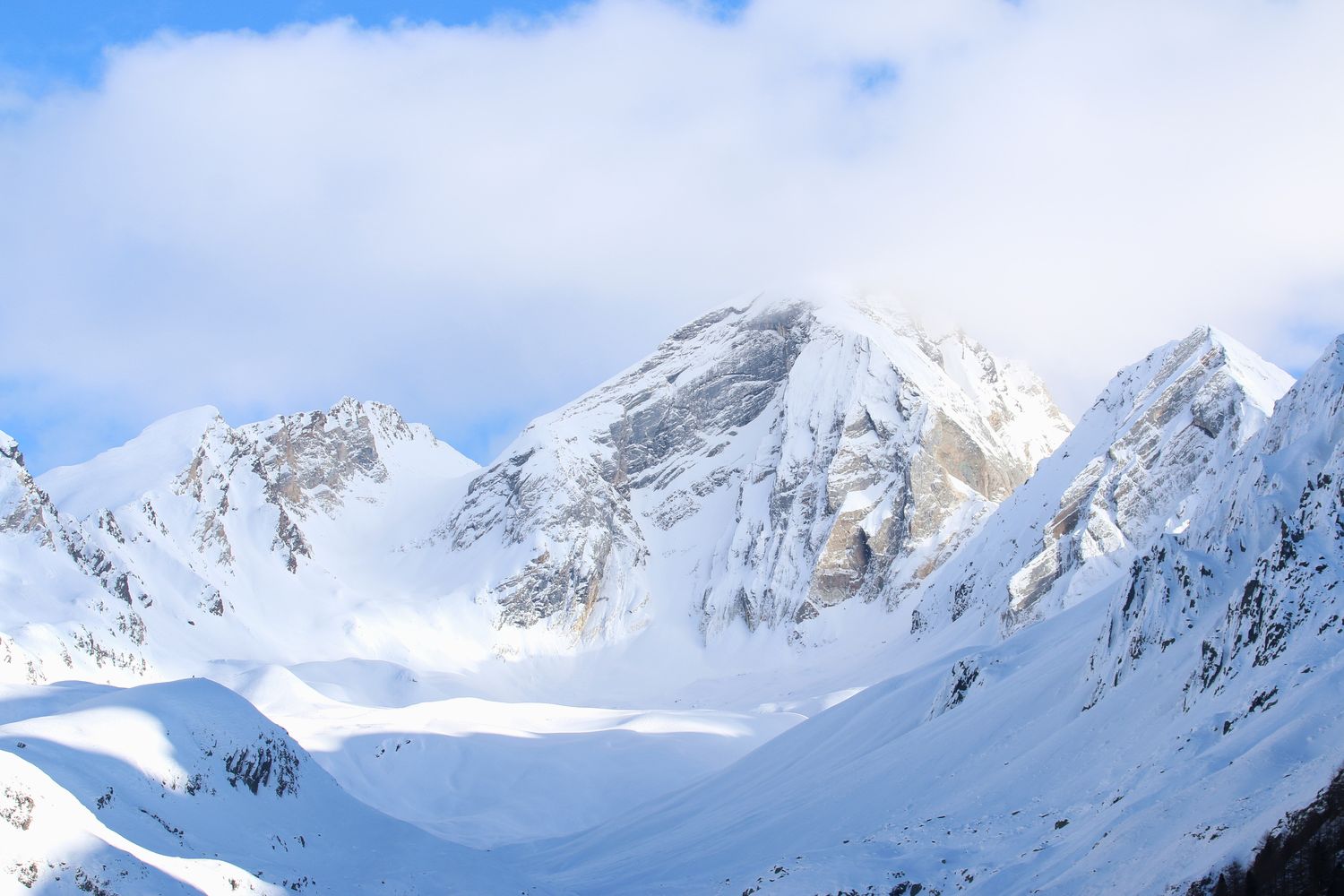 Hohe Weiße im Winterkleid