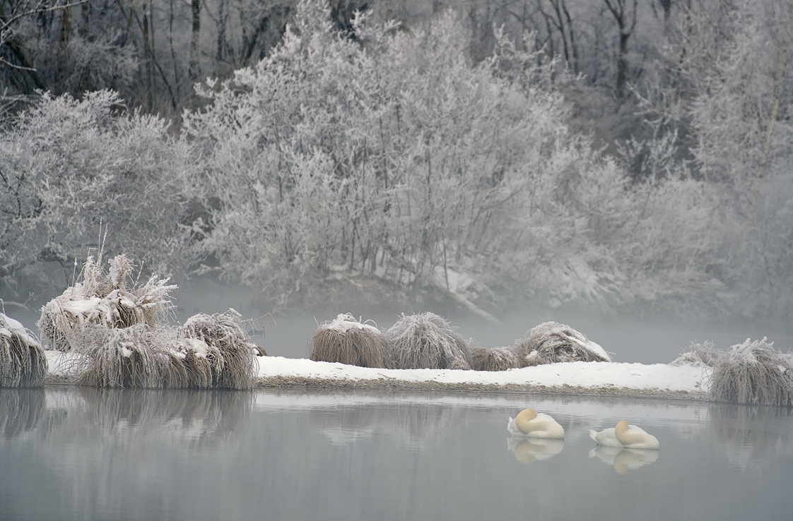 Winter am See