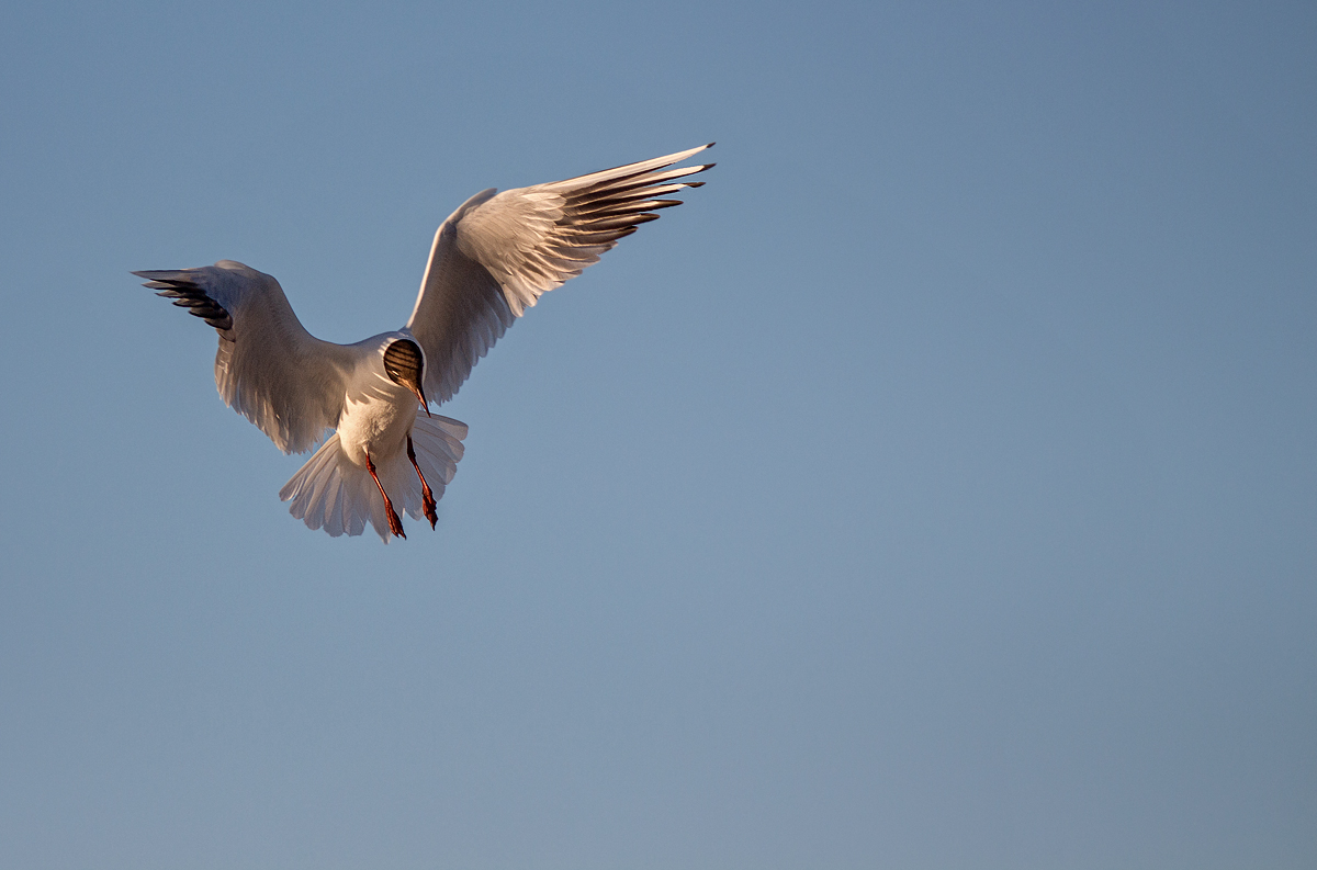 Abflug ins neue Jahr