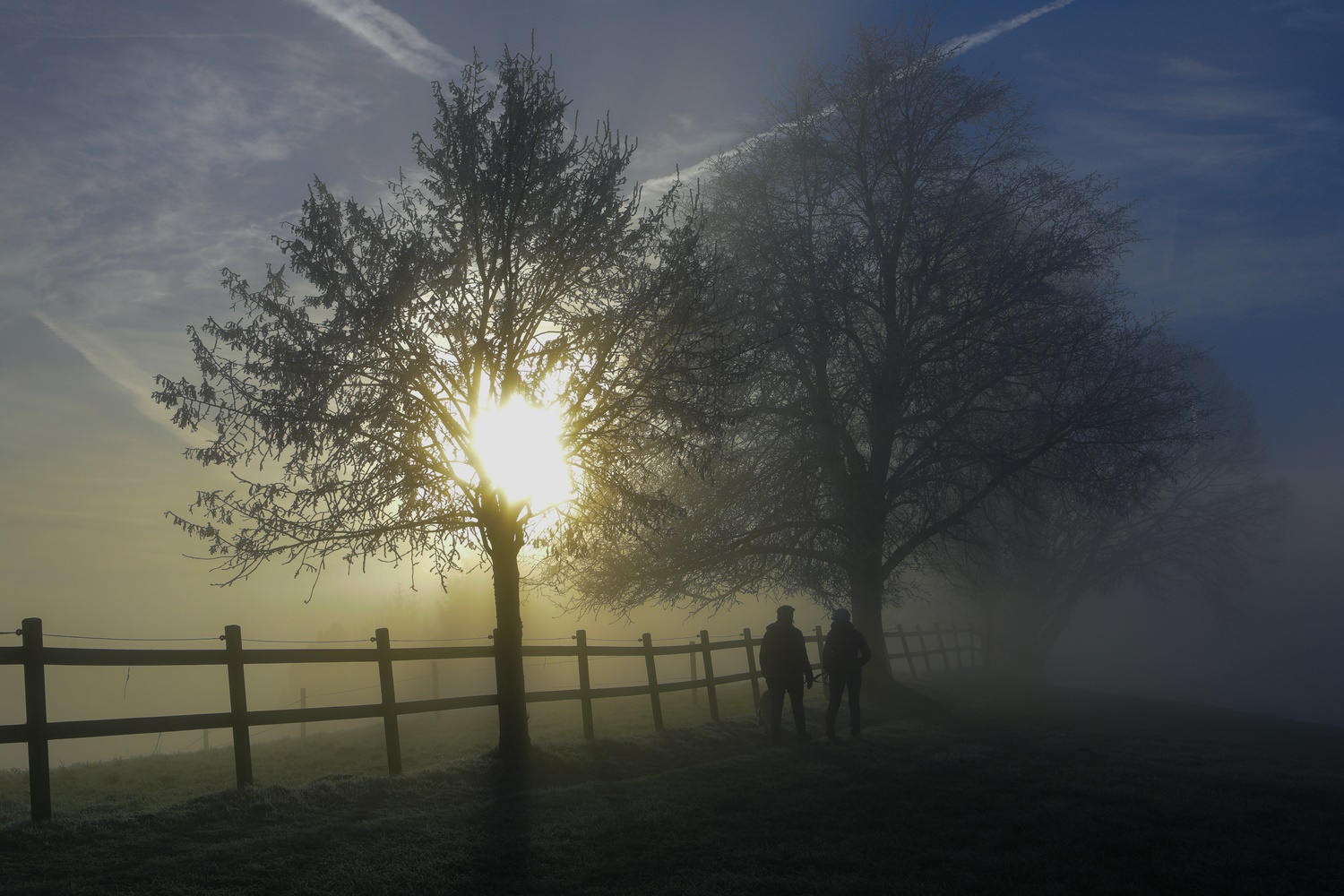Morgenspaziergang an der Nebelgrenze