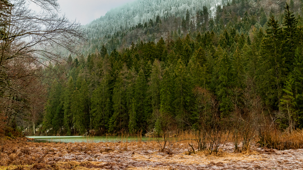 Schneefall bis 1.000m, darunter Tauwetter