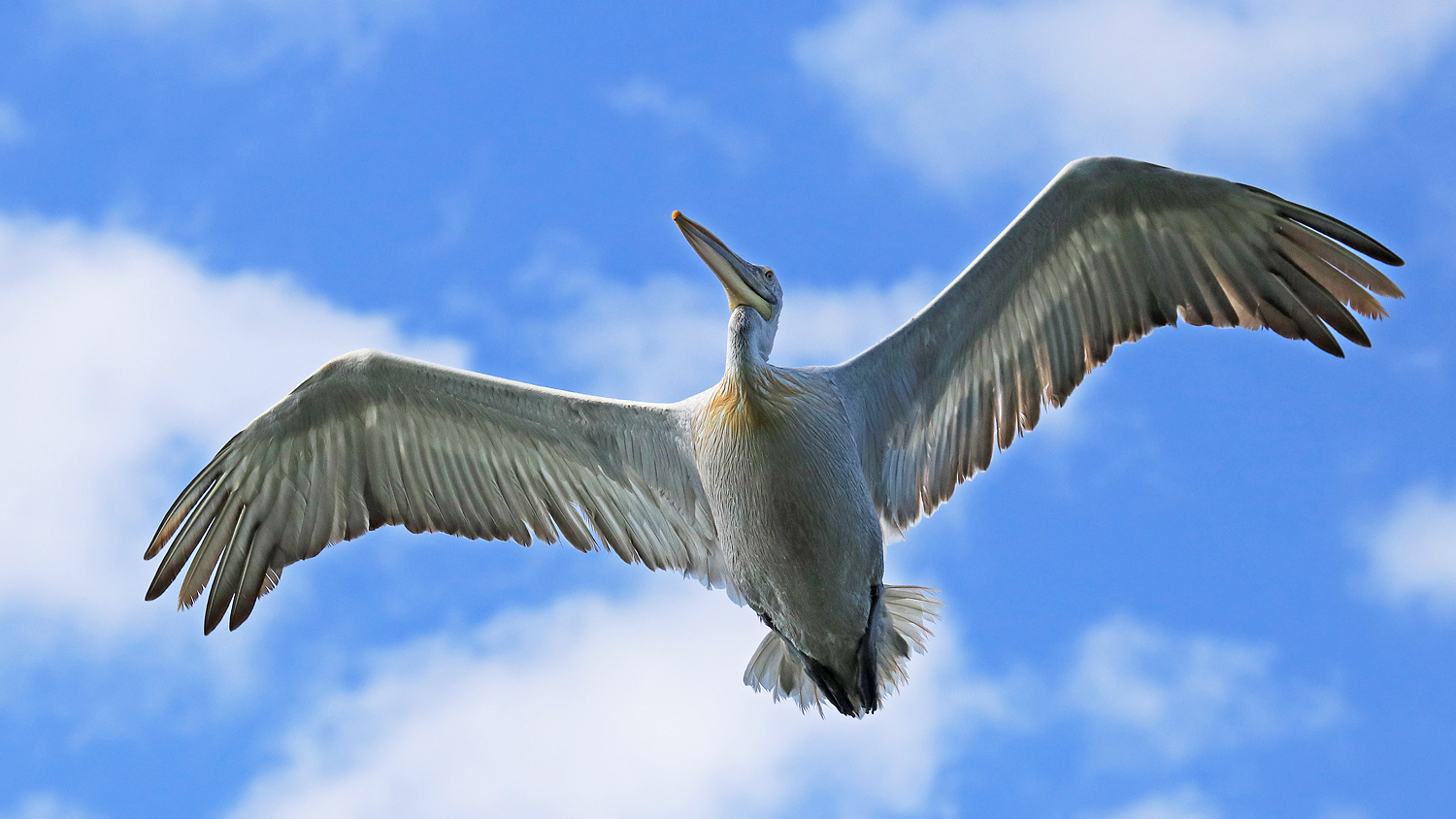 Guten Überflug.....