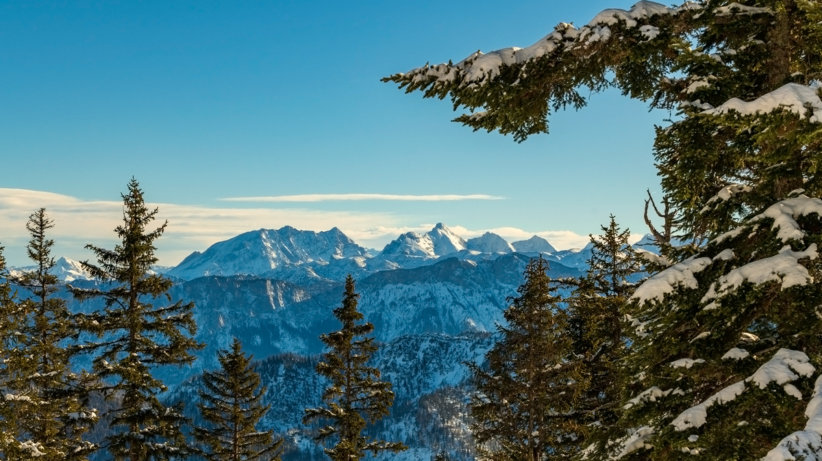 Alpenpanorama