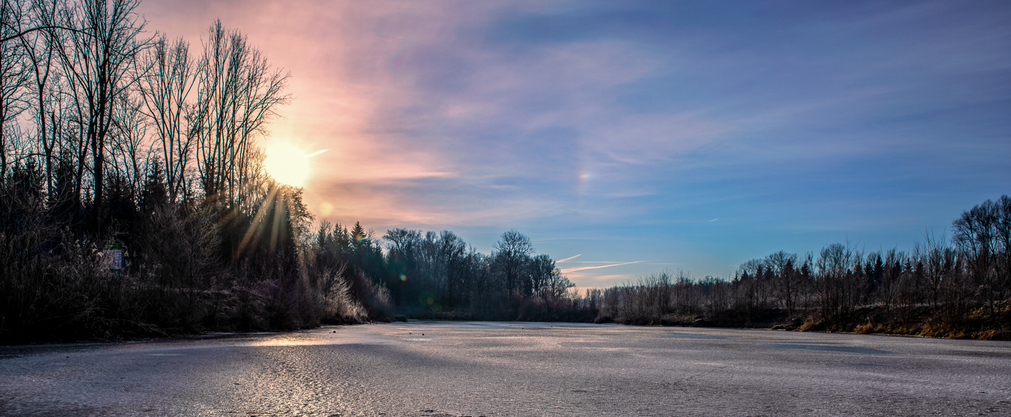Morgenstimmung in den Murauen