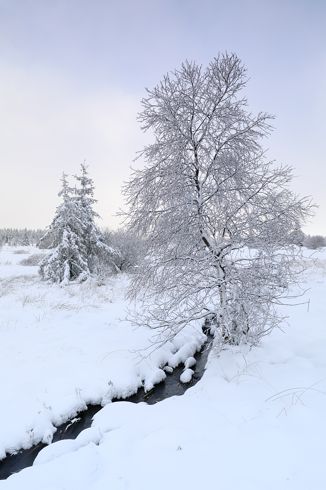 Erinnerung an einen Winter