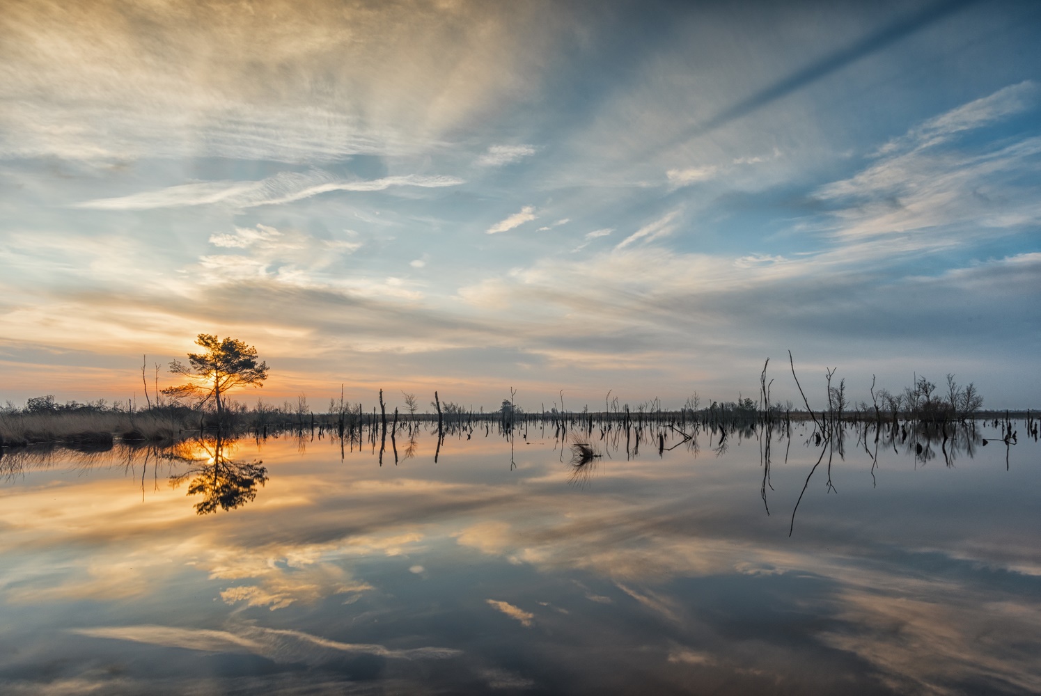 ___sonnenaufgang___