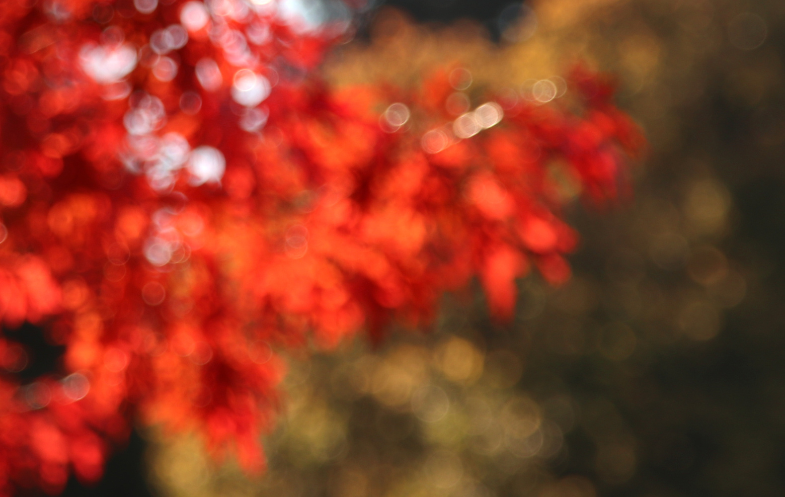 Erinnerungen an den Herbst