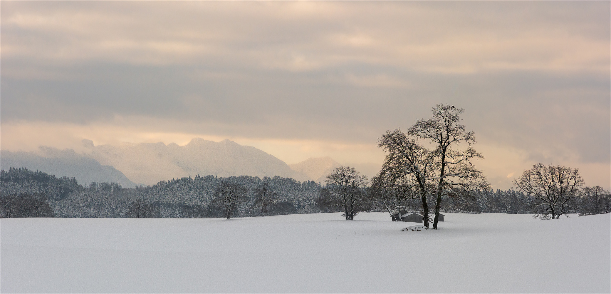 °°° nach dem großen Schneefall °°°