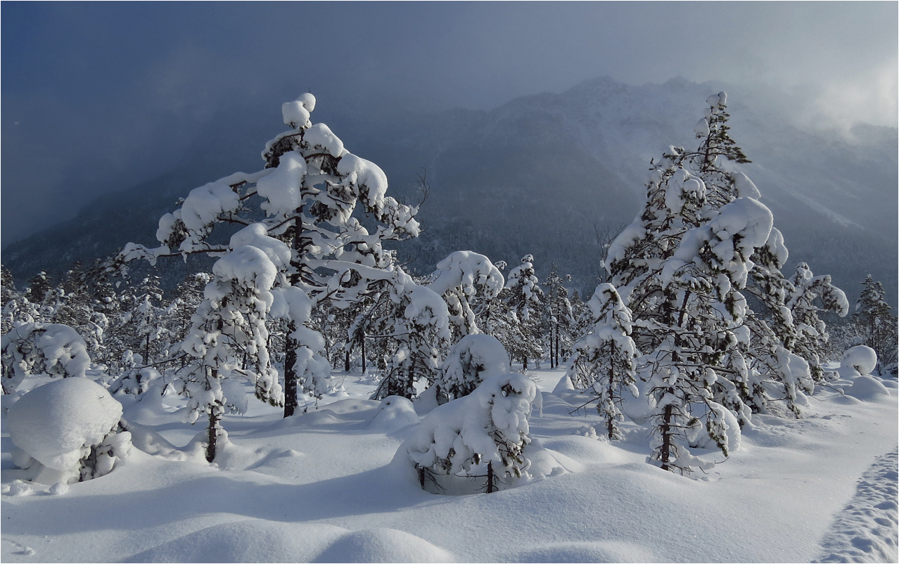Winter