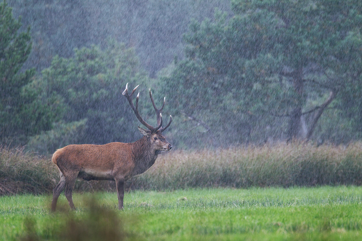 Dem schlechtesten Wetter die Stirn bieten,