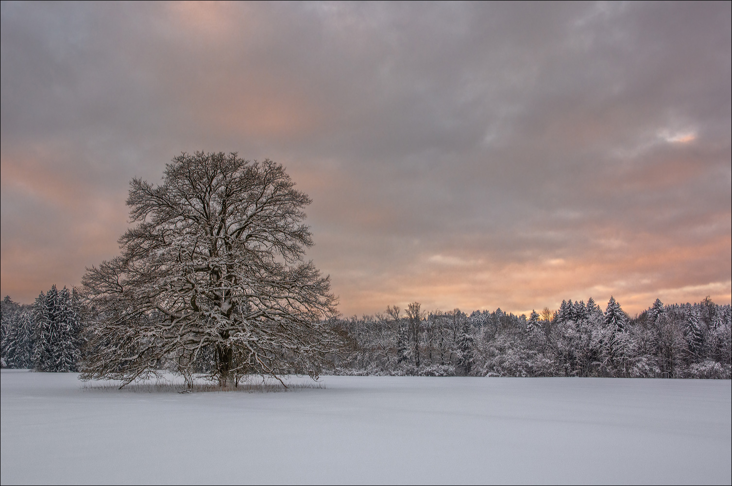 °°° Schnee von Gestern °°°