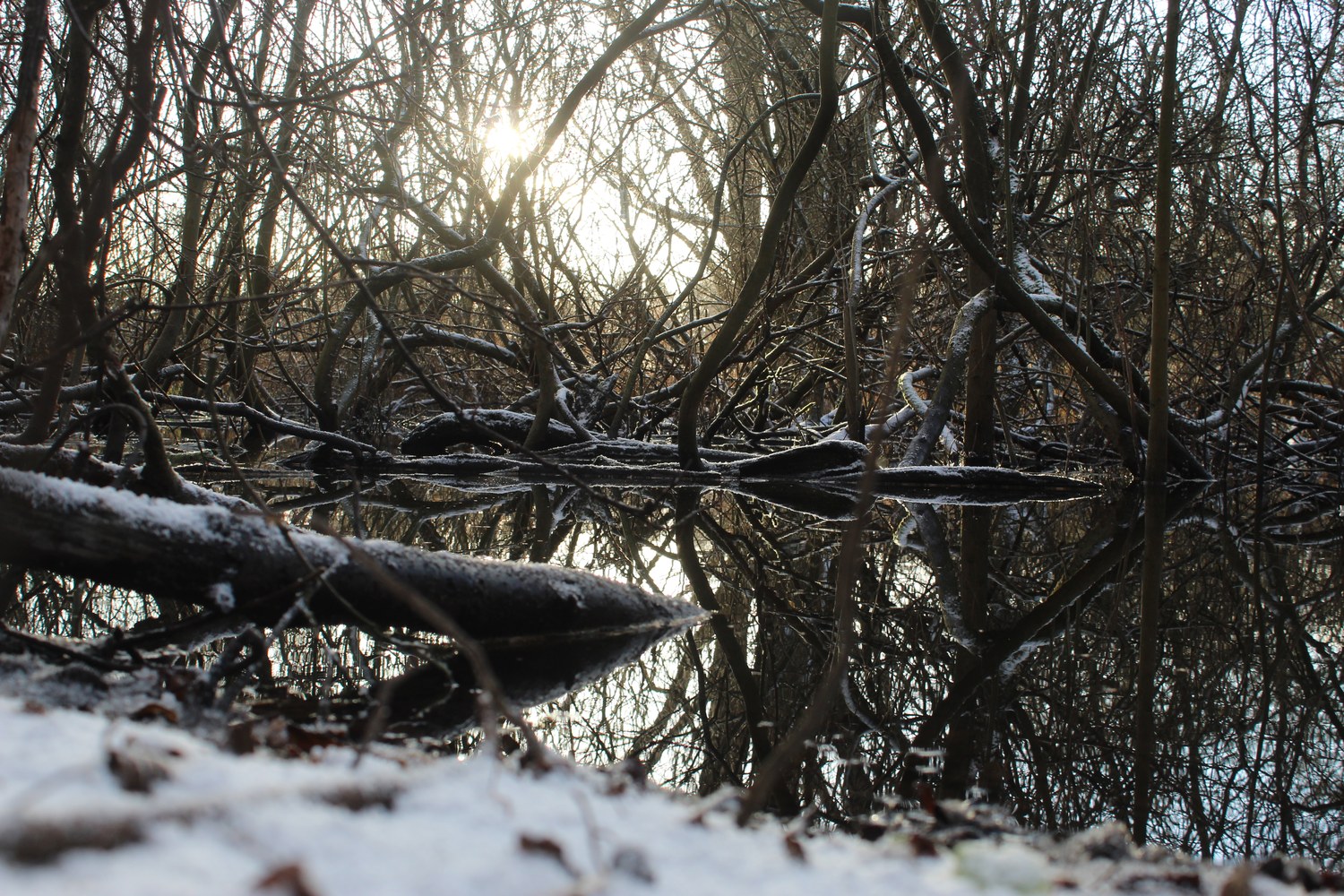 winterwonderland