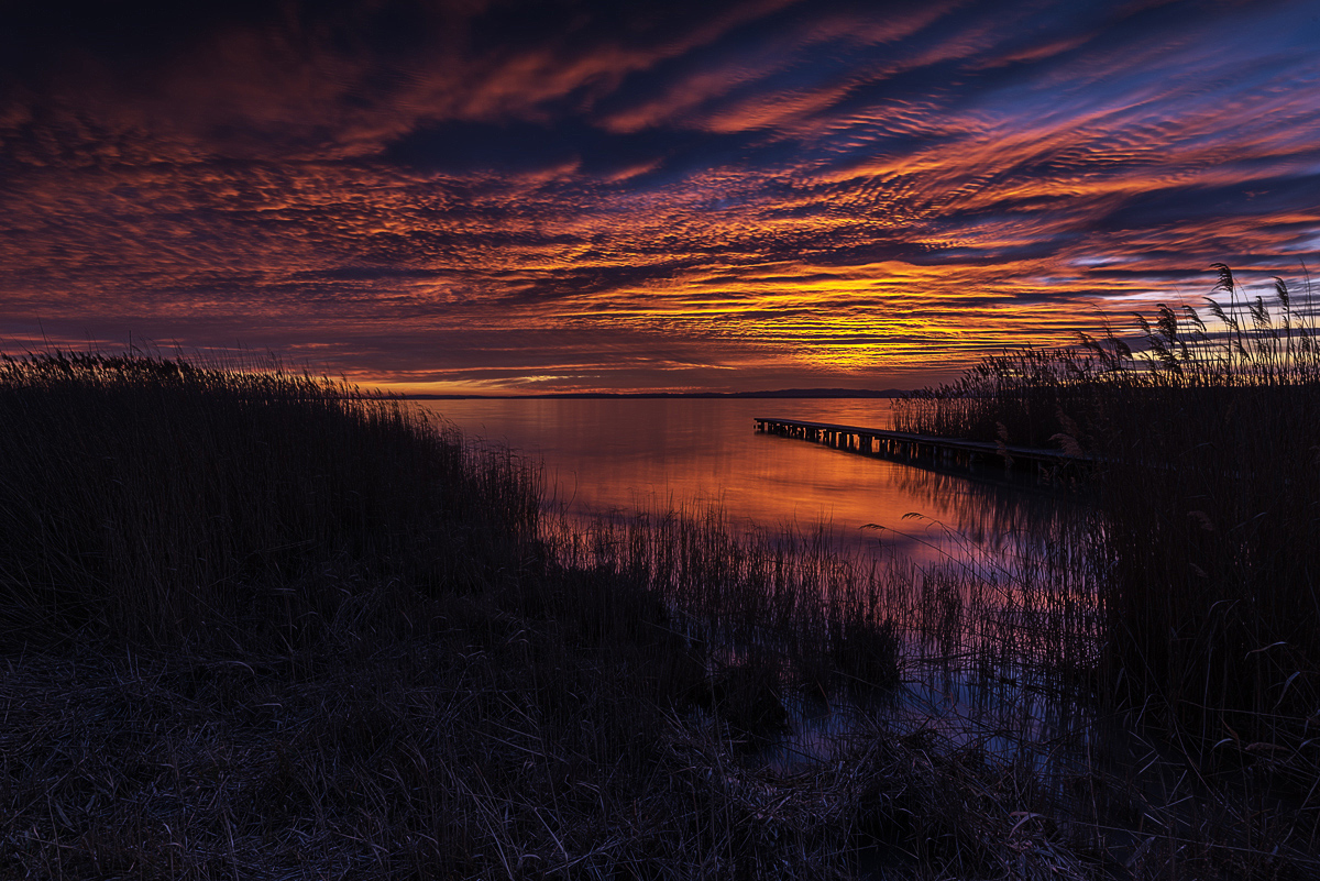 Am Neusiedlersee