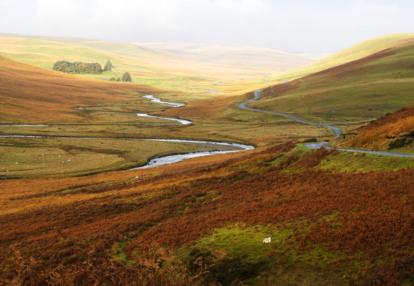 Landschaft in Wales