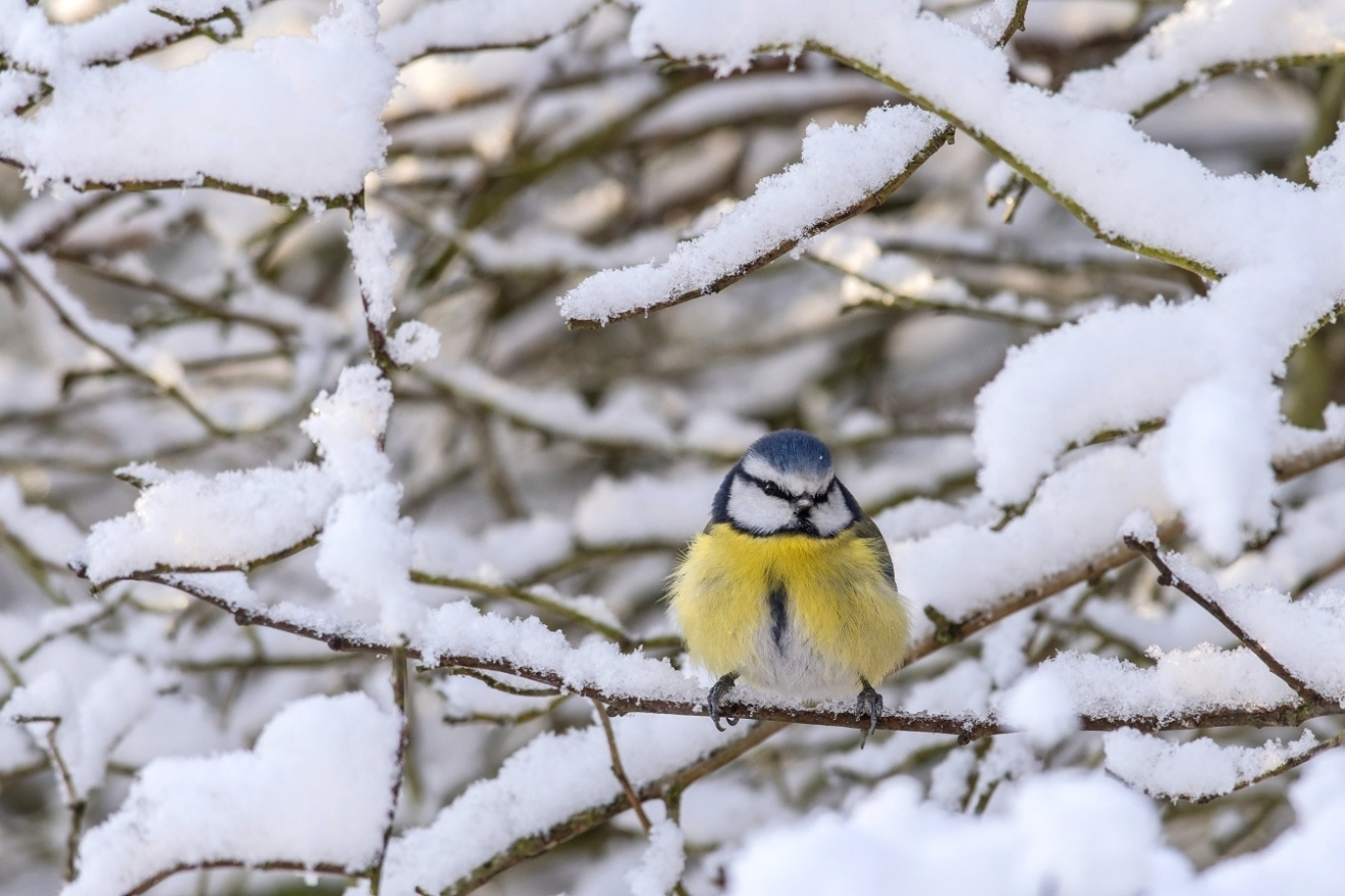 Endlich Winter...