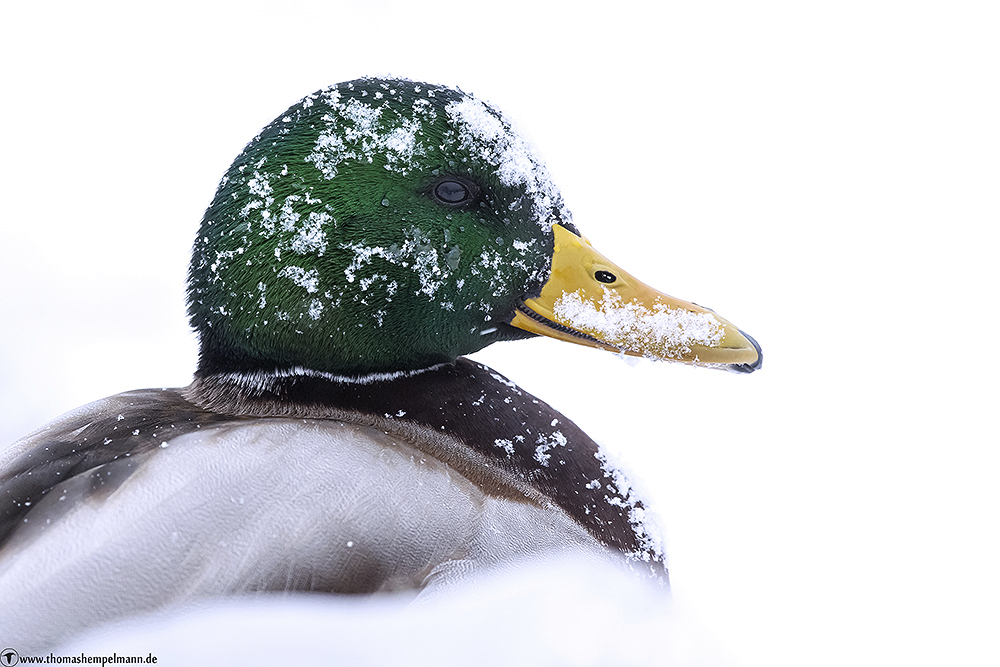 Endlich Winter!